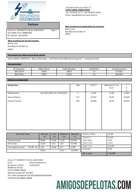 Em branco France Energies & Services Régie Municipal D’ Electricité Sarre Union Modelo de conta de serviços públicos de eletricidade em formatos Word e PDF, totalmente editável1